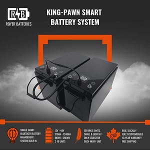 The King Pawn Batteries System Features